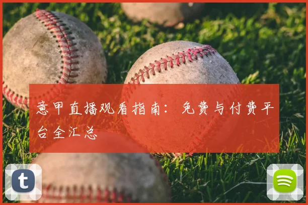 完美体育网址